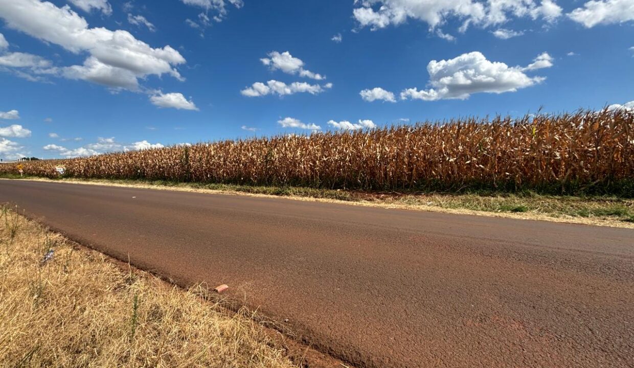 1da2f3f4-3e87-47ce-aa0d-7854548a2d64
